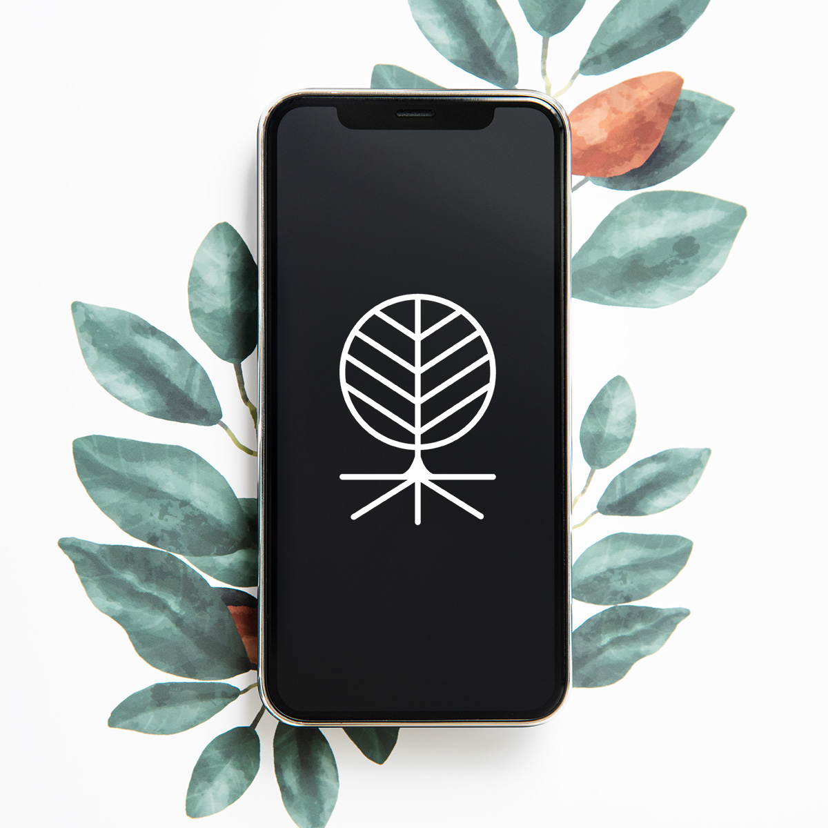 Urban Roots – Plant Webshop